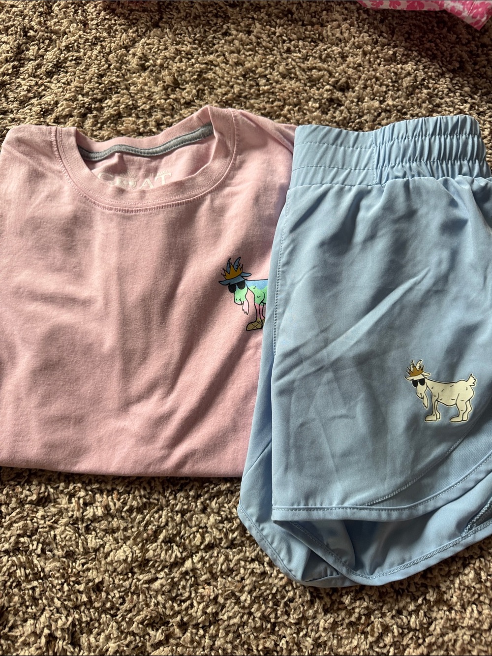 Light Blue Athletic Shorts with Cute Goat Patch
